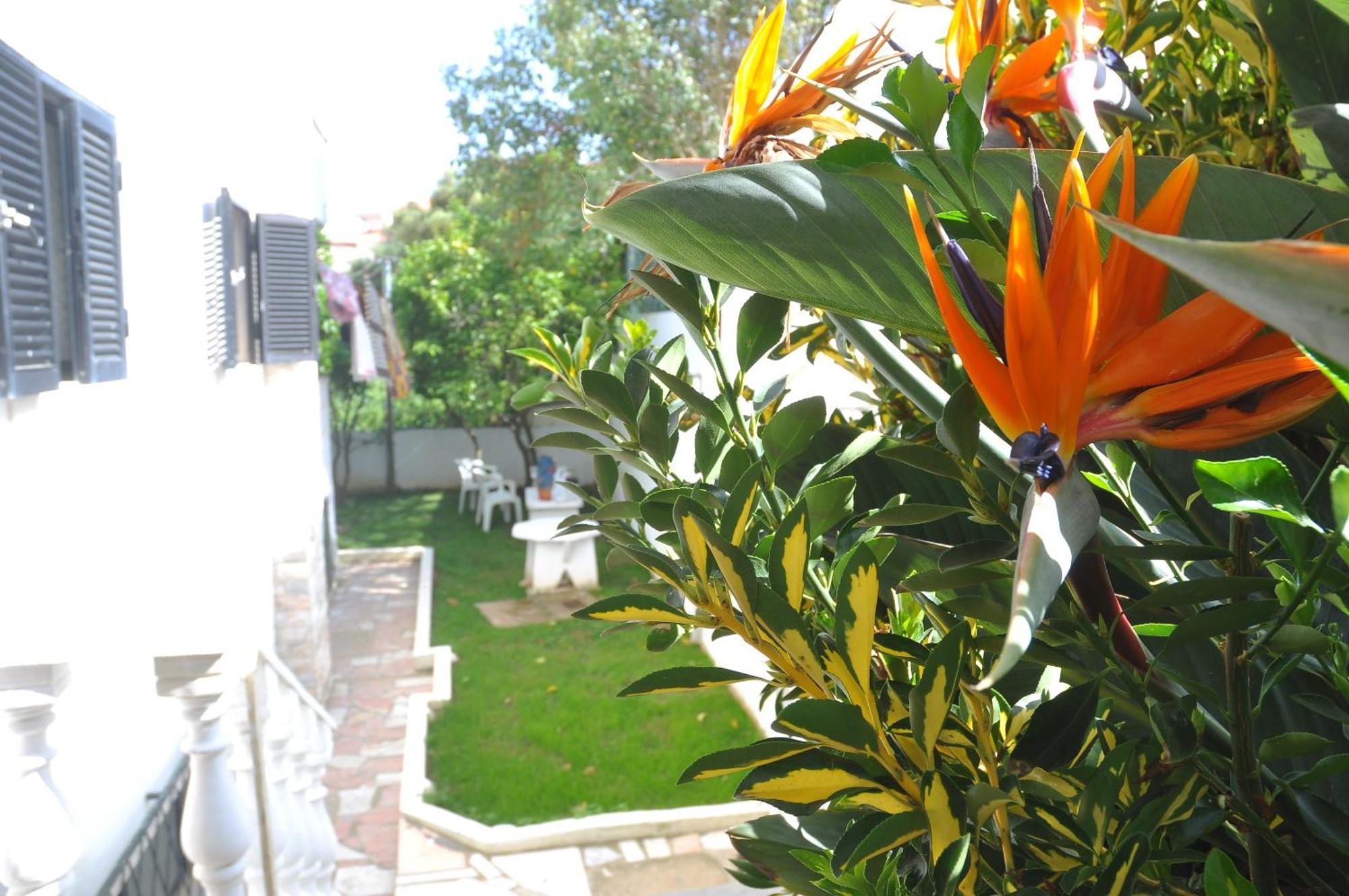 Bed and Breakfast Manelisa Cascais Esterno foto