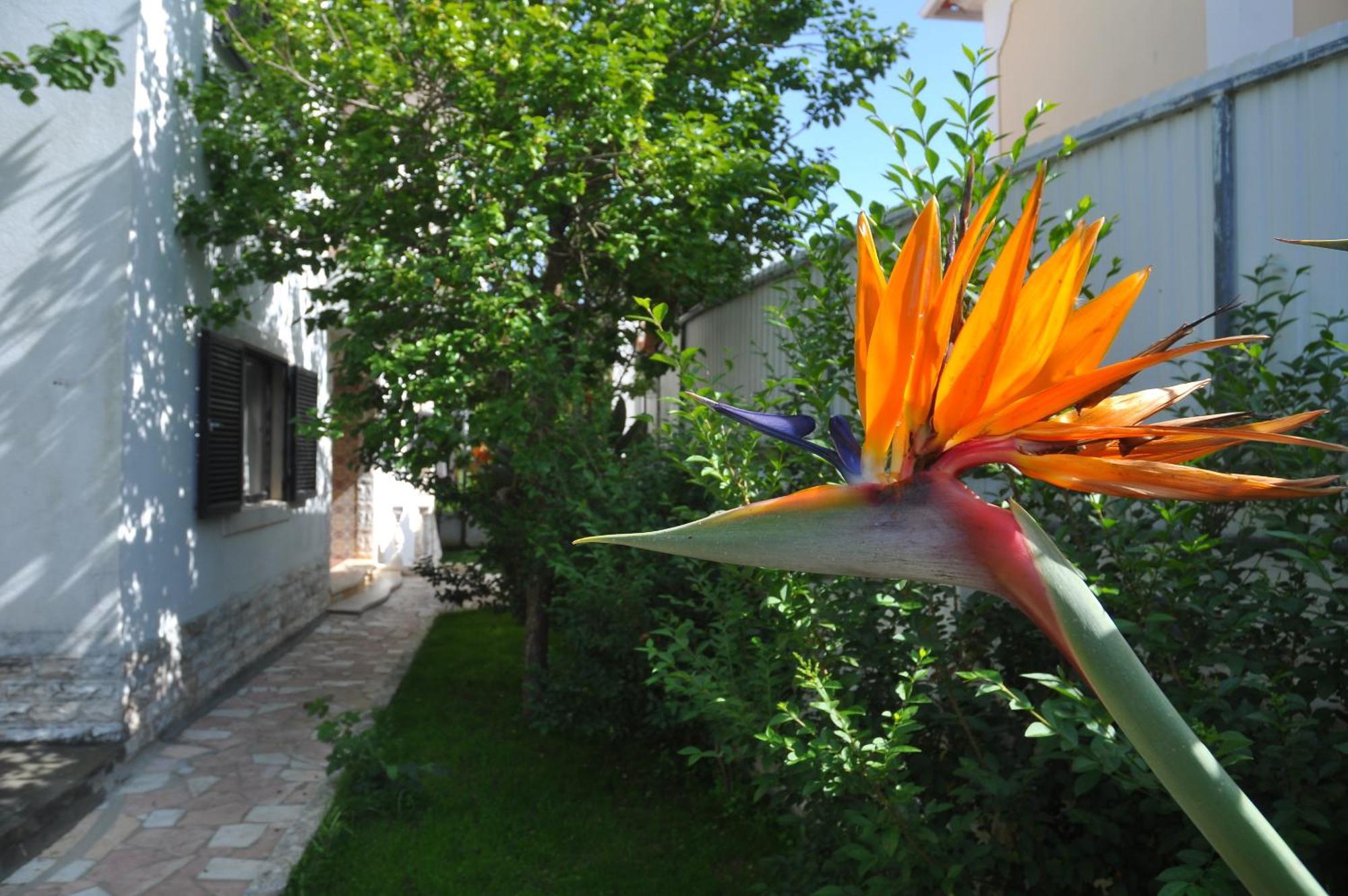 Bed and Breakfast Manelisa Cascais Esterno foto